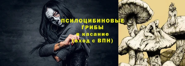 прущие грибы Алексин