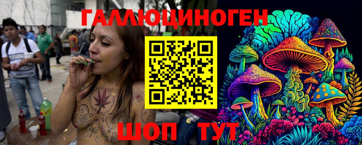 Псилоцибиновые грибы мицелий Волхов