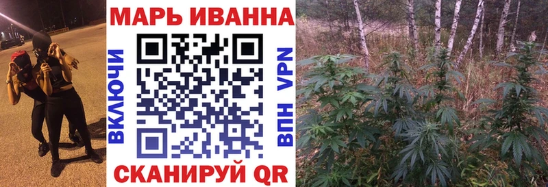 где купить наркотик  Волхов  Конопля сатива 
