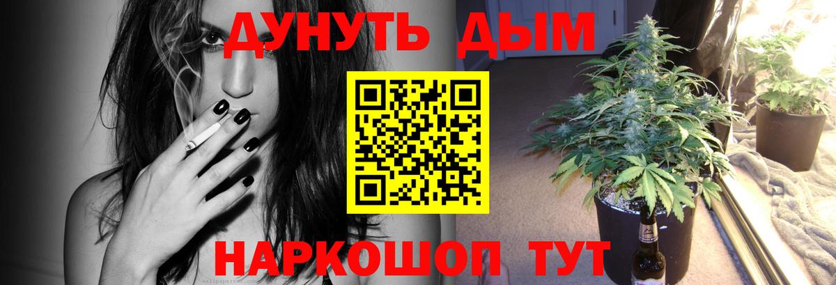 Конопля марихуана  Канабис конопля  Вход с VPN  Волхов 